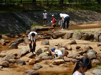 猛暑日は川遊び日和