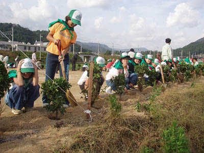 植樹活動