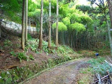 宮津市里波見