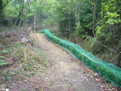 歩道整備