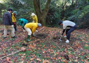 苗木を植える穴掘りの様子